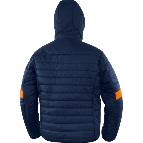 BLOOM-BM-back.jpg