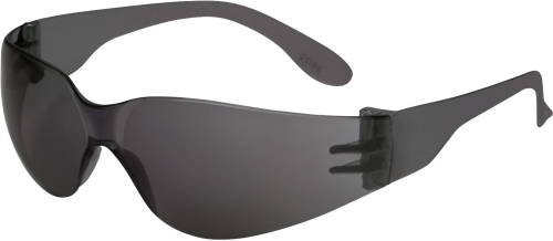 Okulary Brava2 Smoke