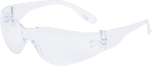 Okulary Brava2 Clear