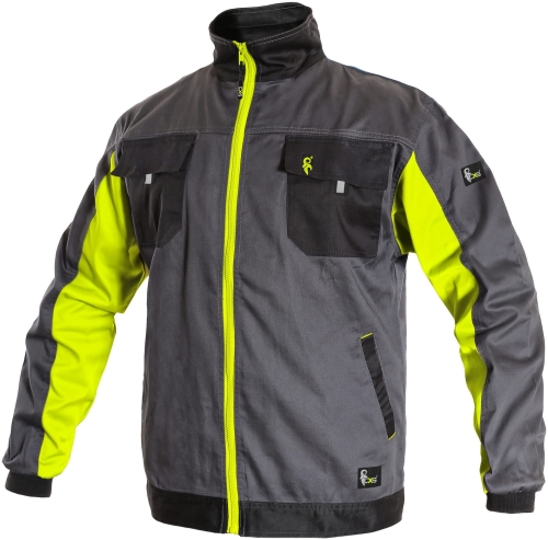 1010 016 702 00 PHOENIX PERSEUS.jpg