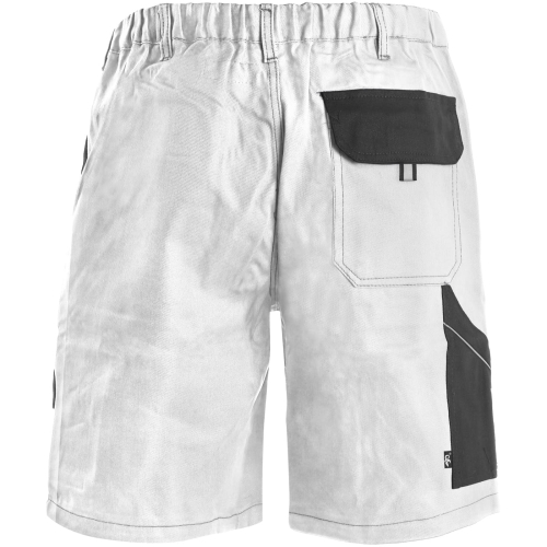 1060 006 109 00 CXS Luxy Tomáš_zezadu.jpg