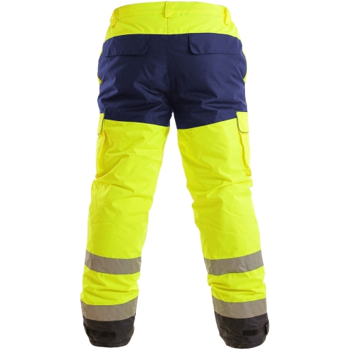 1111 001 155 00 CARDIFF (2).jpg