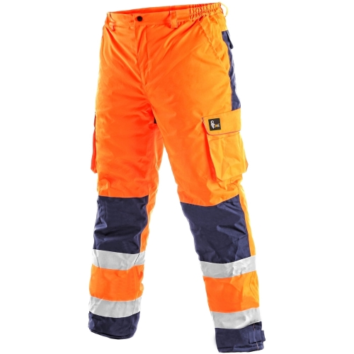 1111 001 205 00 CARDIFF.JPG