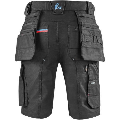 1060-120-817-00 Leonis_zezadu.jpg