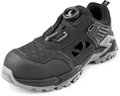 2136-102-810-00 Borex S1PS.jpg