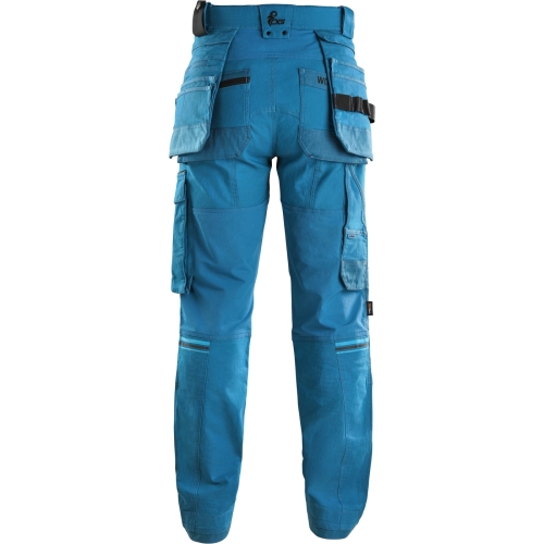 1020-120-440-00 Leonis_zezadu.jpg